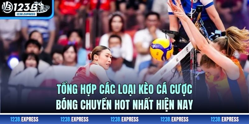 Tổng hợp các loại kèo cá cược bóng chuyền hot nhất hiện nay